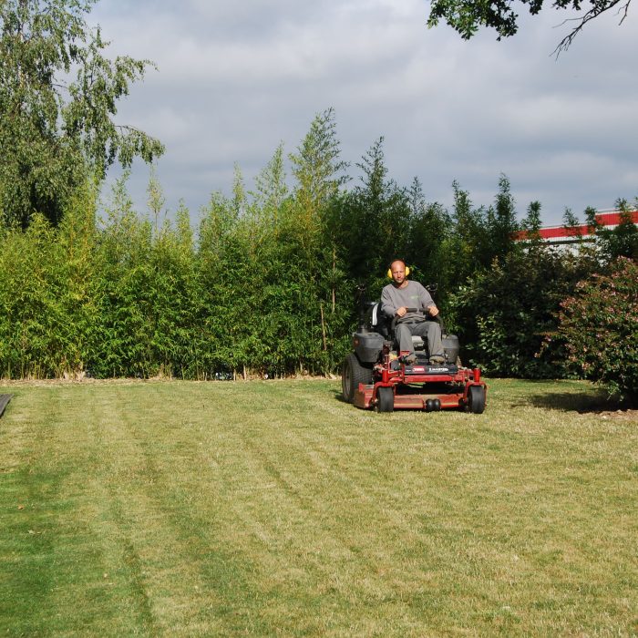 Técnica de Jardinagem/Espaços Verdes SAMSIC a cortar a relva com um cortador de relvas