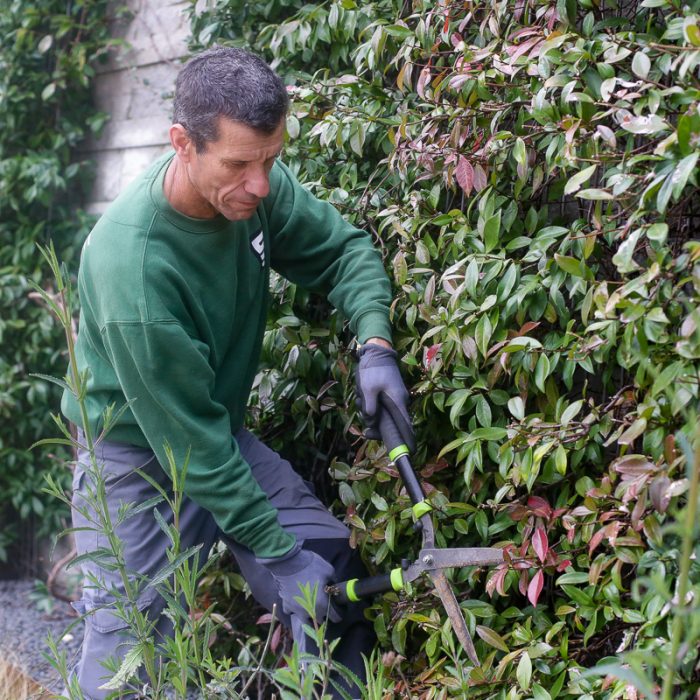 Técnico de Jardinagem SAMSIC a podar as plantas exteriores
