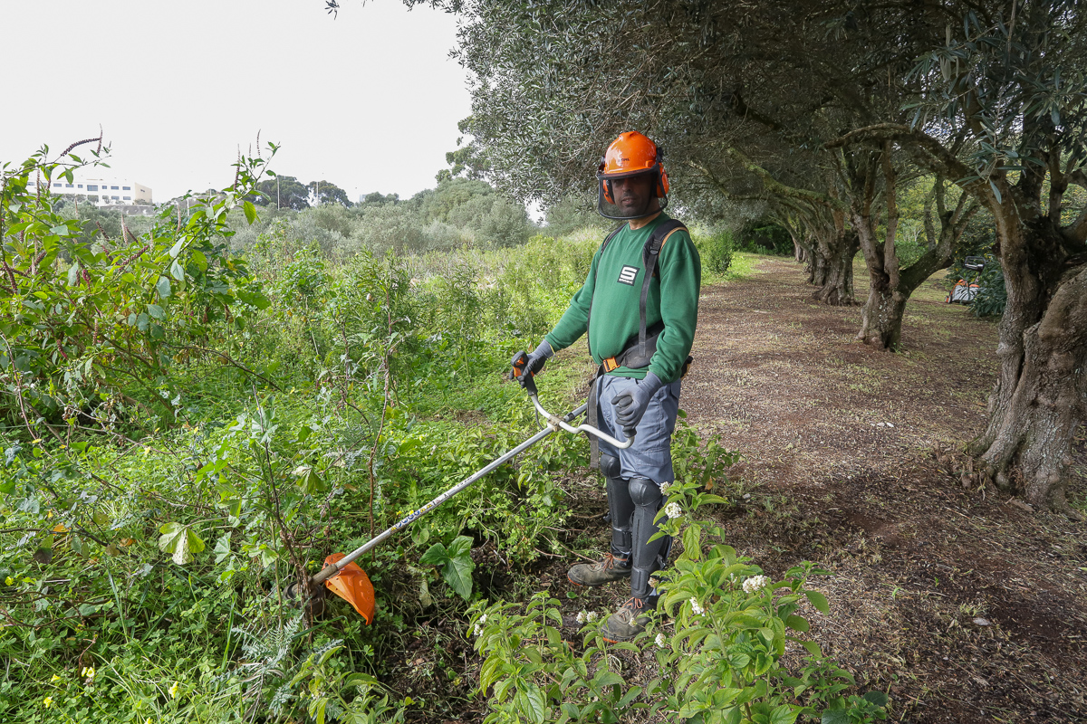 Espaços Verdes Jardinagem Clientes Indústria Setor Industrial