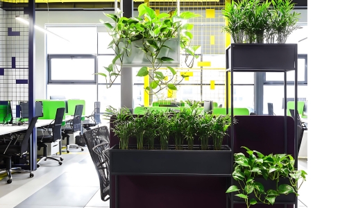 espaços verdes interiores