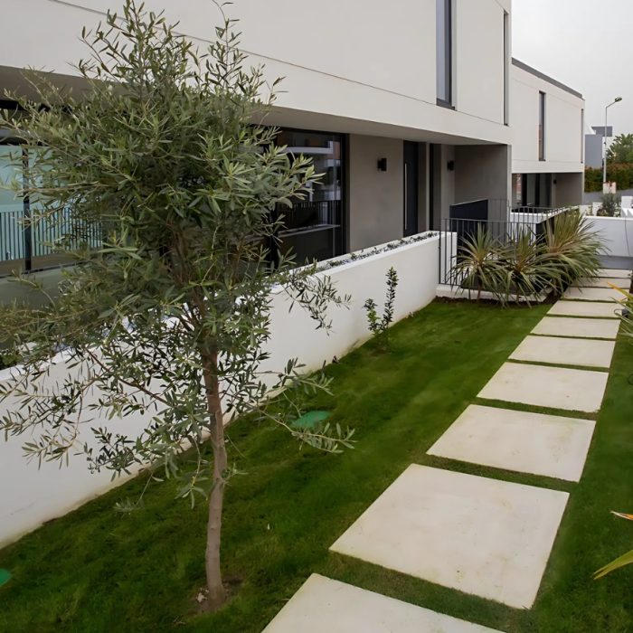 Plantas de exterior de uma casa