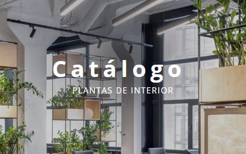 Catalogo de plantas de interior - fundo de um escritório com plantas