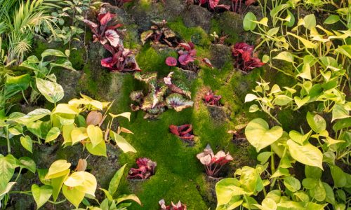 Uma imagem de um jardim vertical verde e roxo