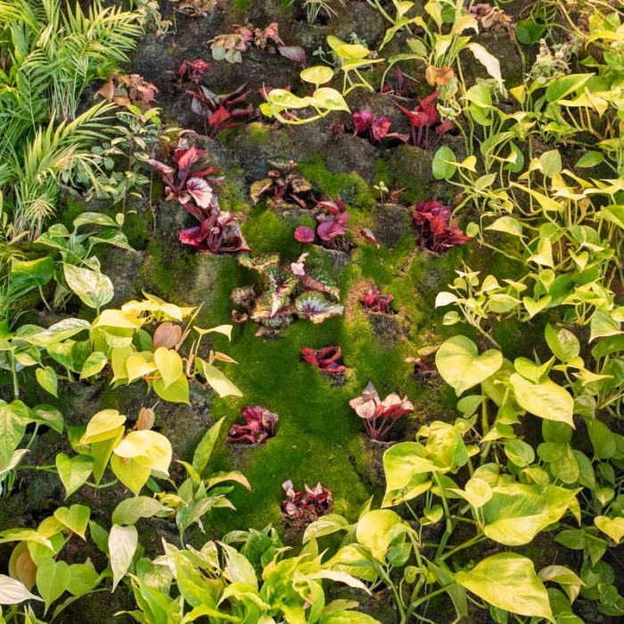 Uma imagem de um jardim vertical verde e roxo