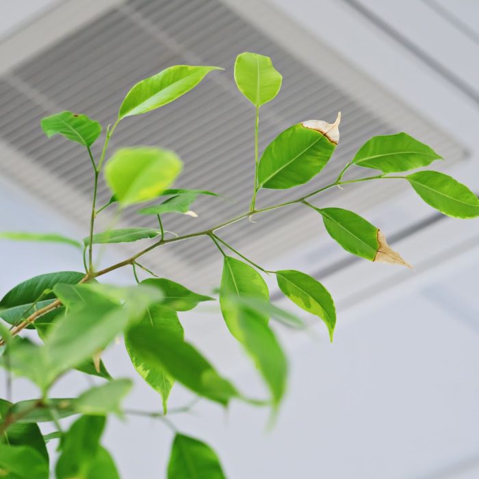 Qualidade do Ar Interior