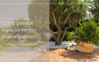 Jardins de baixa manutenção: como planear espaços verdes mais eficientes