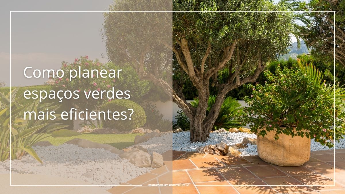 Jardins de baixa manutenção: como planear espaços verdes mais eficientes